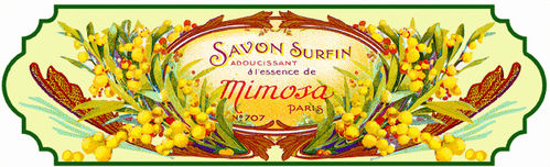 Hakenleiste "Mimosa" Cartexpo France
